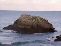 El Pe&ntilde;&oacute;n de Pombera en Noja (Cantabr&iacute;a)