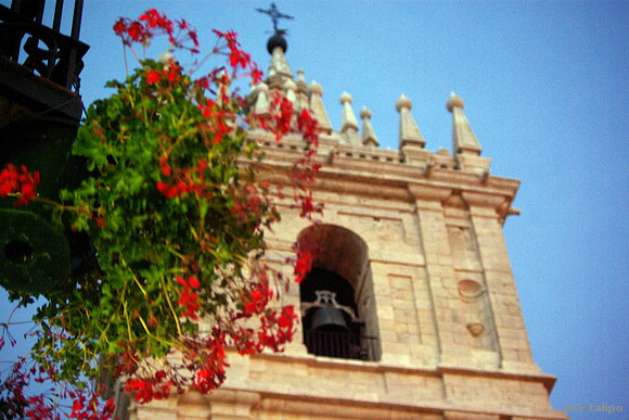 Gitanillas
