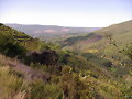 Camino de As Eiras (Ou)