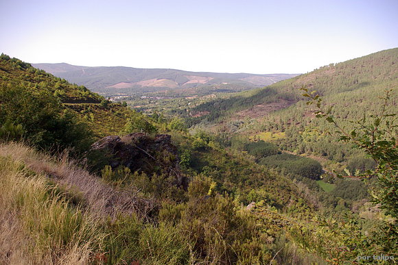Camino de As Eiras (Ou)