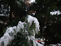 Nevada en Valladolid