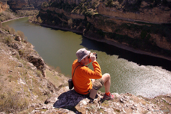 Observando las rapaces