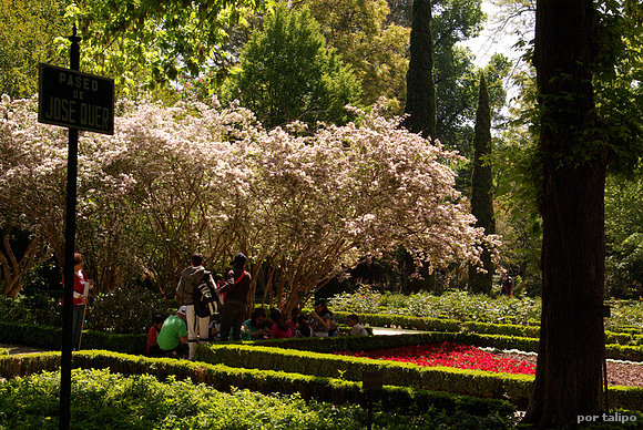 Jardín Botánico de Madrid
