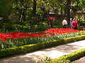 Jard&iacute;n Bot&aacute;nico de Madrid