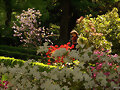 Jard&iacute;n bot&aacute;nico de Madrid
