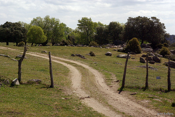 Dehesa abulense