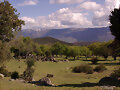 Dehesa abulense IV