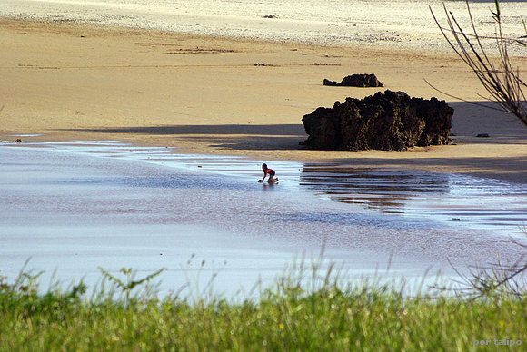 Jugando en la arena mojada