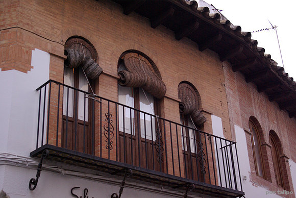 Esterones en Córdoba