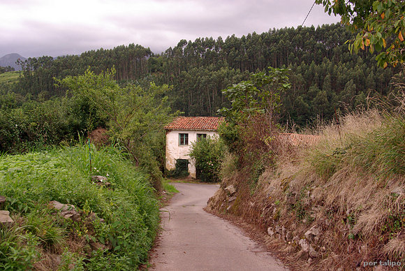 Al final del camino...