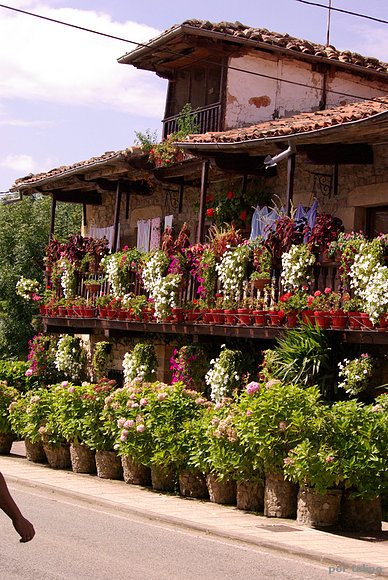 Villacarriedo (Cantabria)