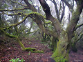 La Llan&iacute;a, El Hierro