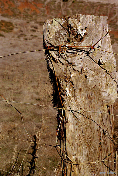 Poste y alambre