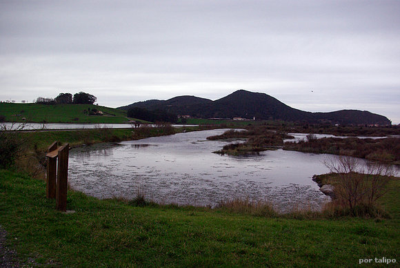 Marismas de Santoña