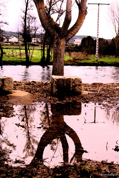 Reflejos II