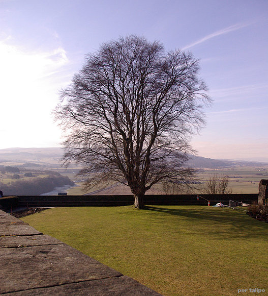 Los jardines del castillo de Stirling