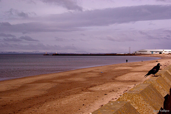 La playa de Ayr
