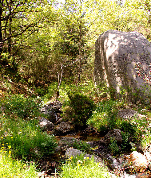 Canencia (II)