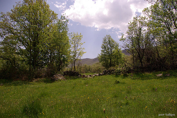 Canencia (III)