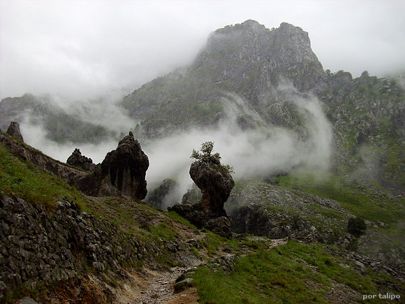 Ruta del Cares (II)
