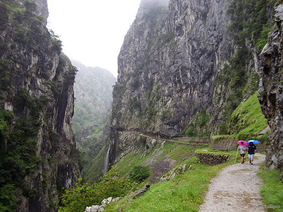 Ruta del Cares (IV)