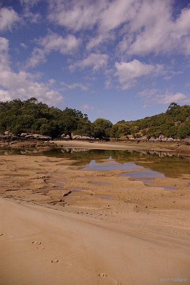Ría de la Venera
