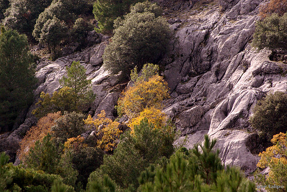 Otoño en Cazorla