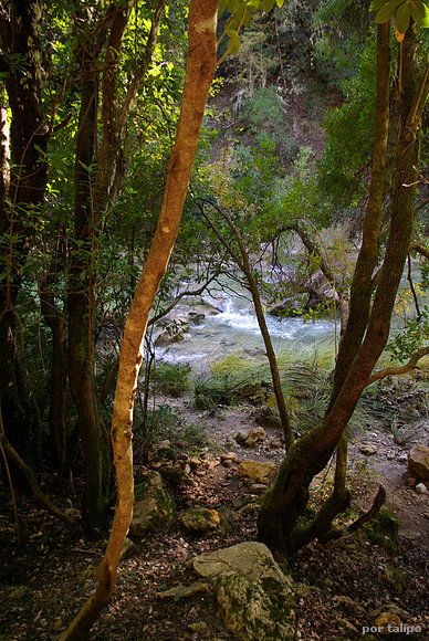 La cerrada de Elías