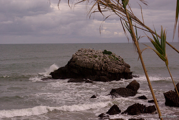 San Pedruco