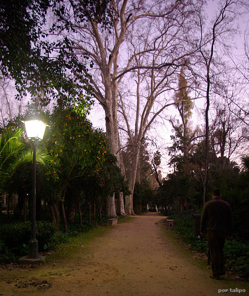 Parque de María Luisa