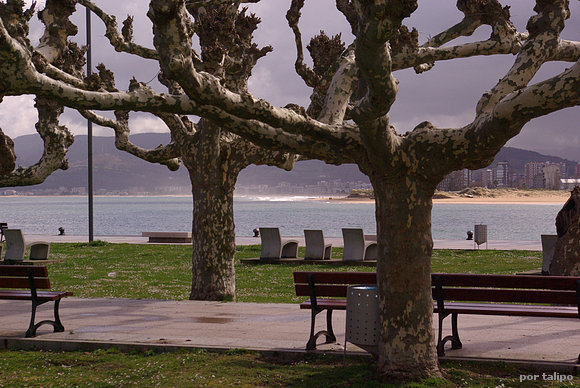 La bahía de Santoña, desde la platanera