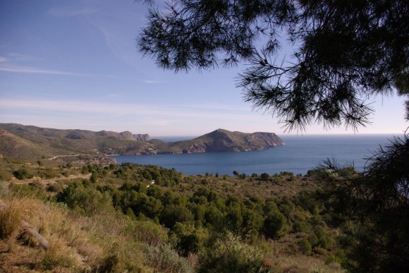 Cap Norfeu