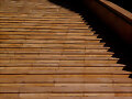 Escalera de oro[s]
