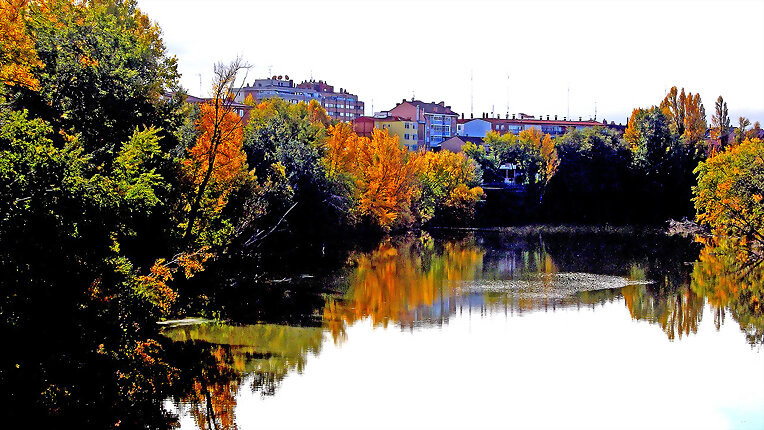 Otoño en el Pisuerga