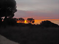 Atardecer