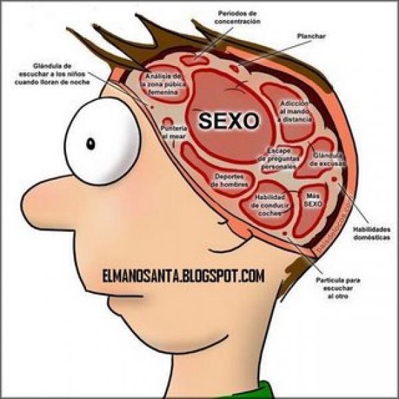 toda la verdad...