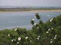 el Rompido Cartaya (Huelva)
