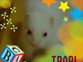 trapy