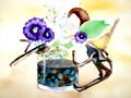piedras,ramas y flores