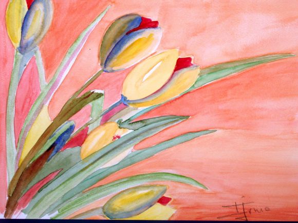 tulipanes