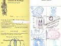 CREDENCIAL 2&ordm;