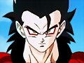 ssj4