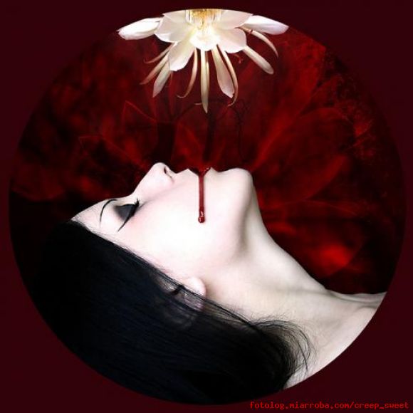 ·.·.·dAhlia · & · blooD ·.·.·