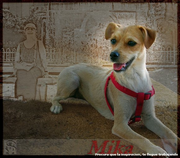 Mika