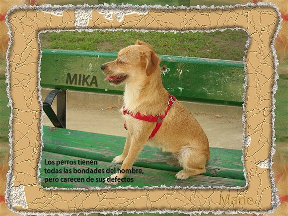 Mika