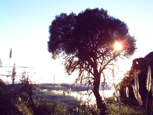 Amanecer en el Cerro Champaquí