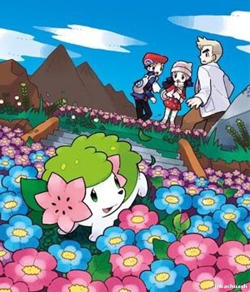 shaymin en el campo