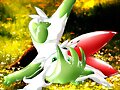 shaymin 3D