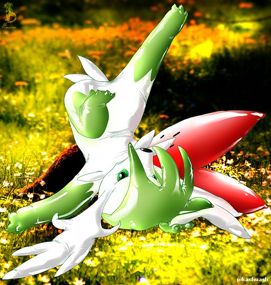 shaymin 3D