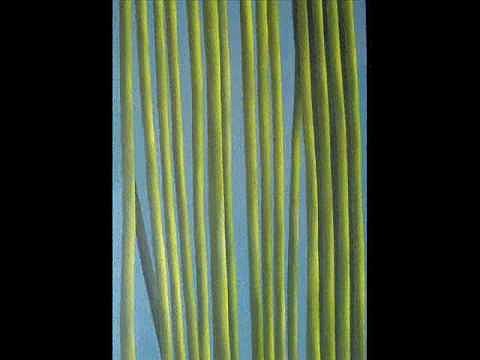 Stella Mezzadri -Paisajes del Alma -